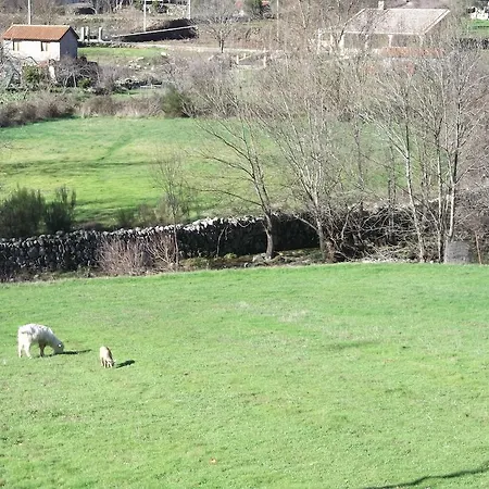 Quinta Do Pe Longo - Serra Da Estrela *