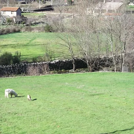 Quinta Do Pé Longo - Serra Da Estrela *